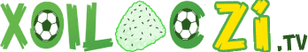 cặp lồng